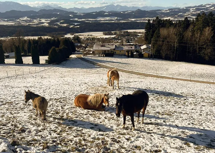 Kuenstlerstubn Appartement