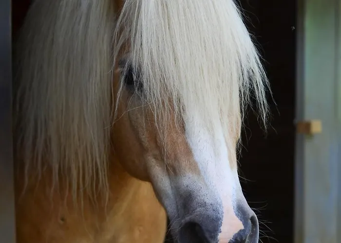 Kuenstlerstubn Apartament *